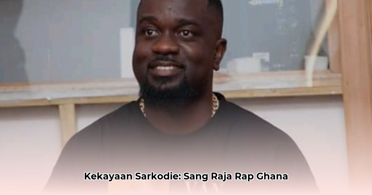 sarkodie s net worth